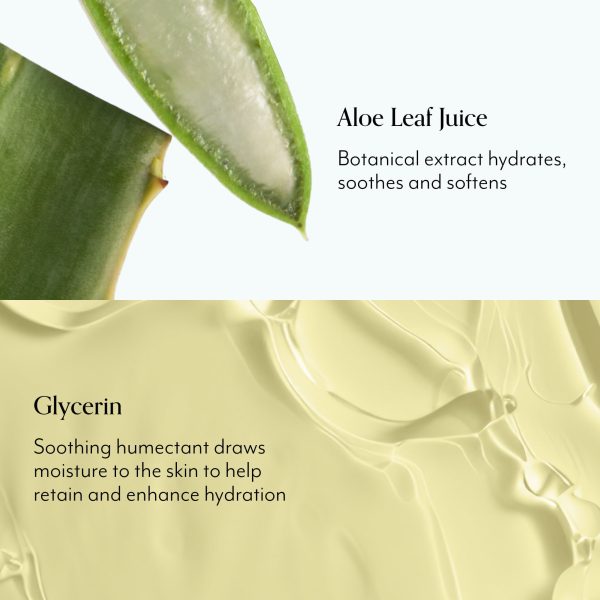 Lemon & Sage Soapy Suds Body Wash - Image 2
