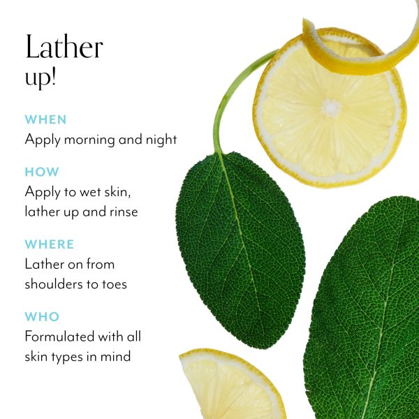 Lemon & Sage Soapy Suds Body Wash - Image 3