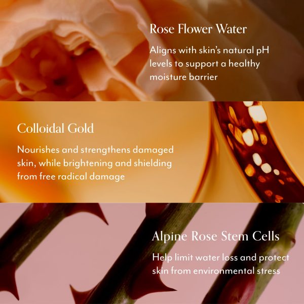Rose Gold Rescue Sensitive Skin Moisturizer - Image 2